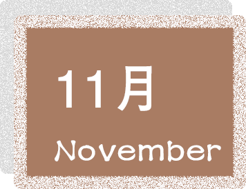 11月