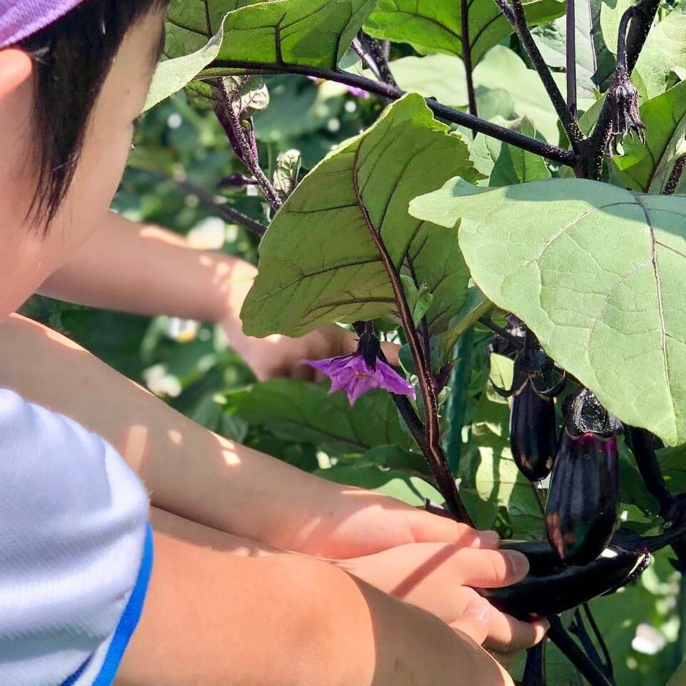 八潮学園 8月の行事